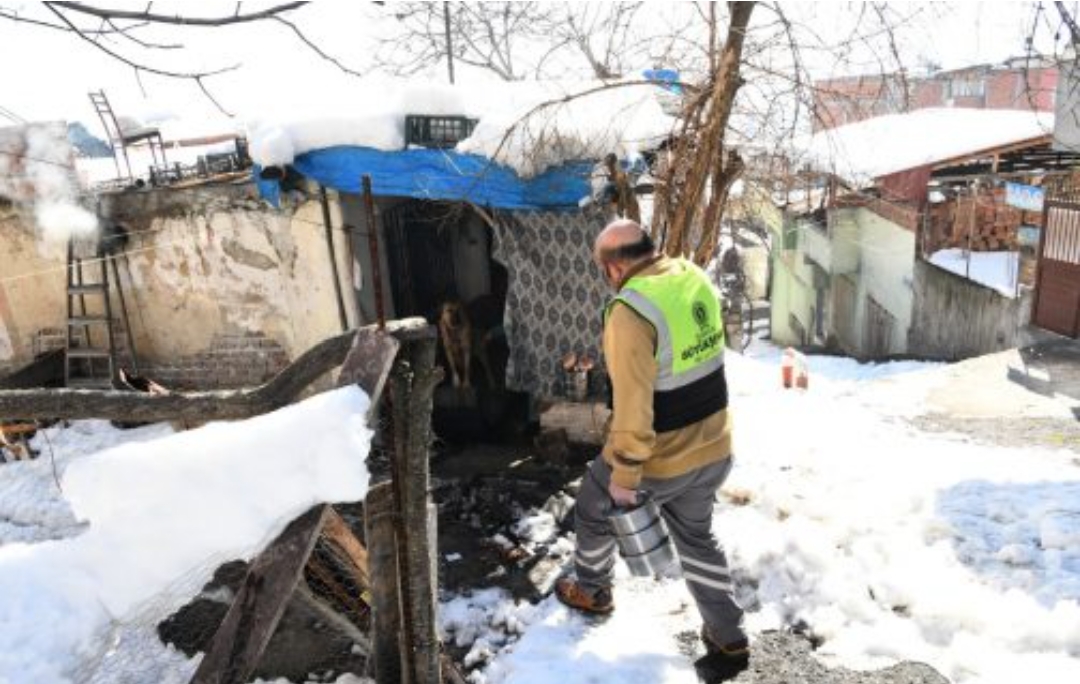 Büyükşehir onları yalnız bırakmadı