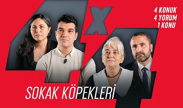 4×4, Sokak Köpekleri Meselesini Masaya Yatırıyor
