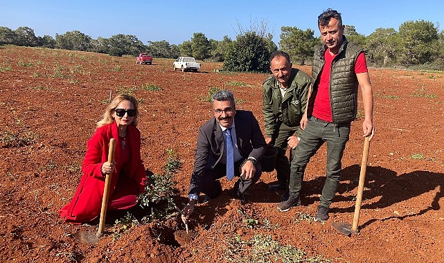 Çeşme Sakızının Kıbrıs’a Yolculuğu