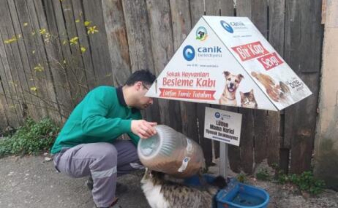 Canik Belediyesi Can Dostları İçin Sahada