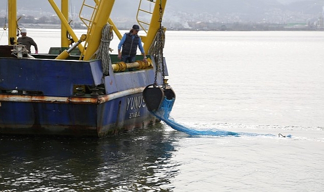 İzmit Körfezi’nde biyoçeşitliliğin tespiti