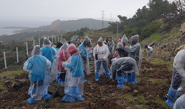 Foça’da Orman Haftası Kutlama ve Fidan Dikim Etkinliği
