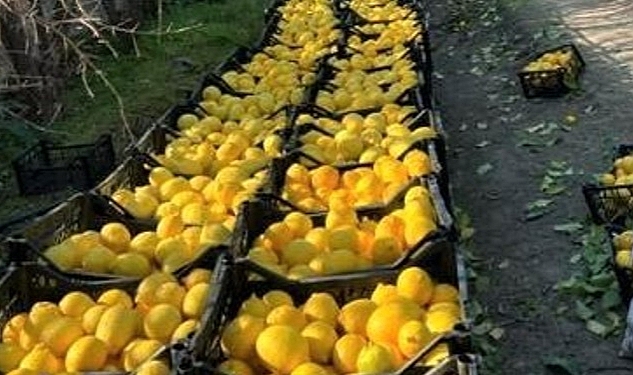 Hatay’dan yerel ürünler ile ”Bu Ramazan, bereketi paylaşmanın tam zamanı”, Hatay Beyaz Balkabağı ile Zencefilli Balkabağı Çorbası tarifi