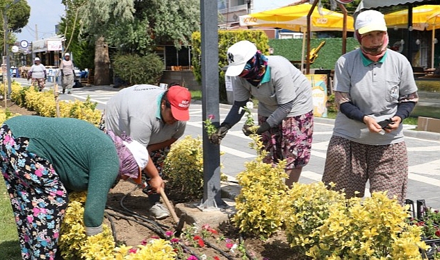 Burhaniye Çiçeklerle Renkleniyor