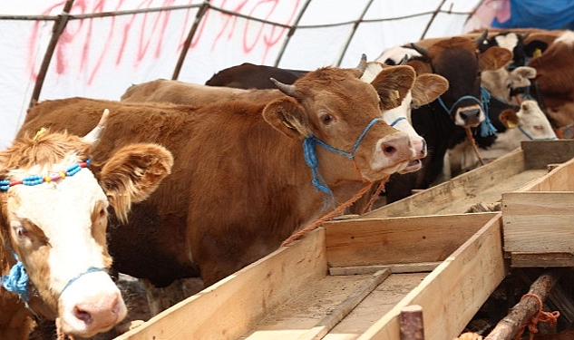 Çankaya Belediyesi Kurban Bayramı’na Hazır