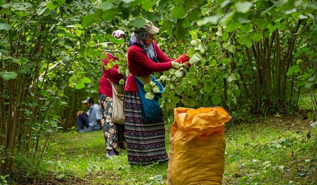 BÜYÜKŞEHİR, HEM ÜRETİCİNİN HEM İŞCİNİN YANINDA